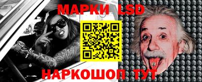 шишки Владимир