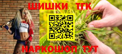 шишки Владимир