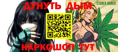 шишки Владимир