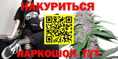 шишки Владимир