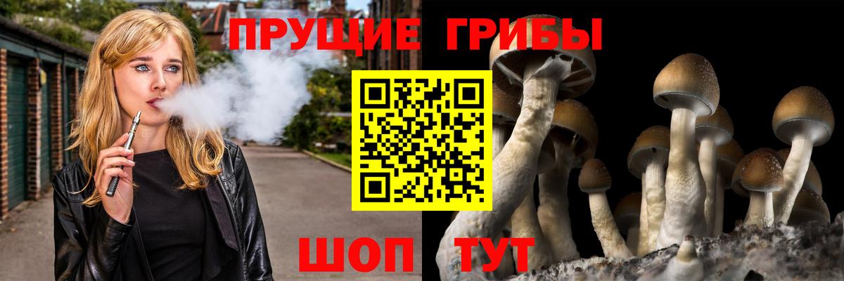 Галлюциногенные грибы ЛСД Нижний Новгород